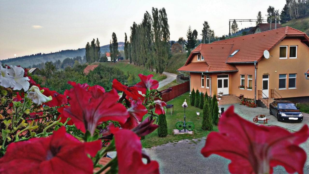 Picnic Panzio Bed and Breakfast Lunca de Sus Eksteriør billede