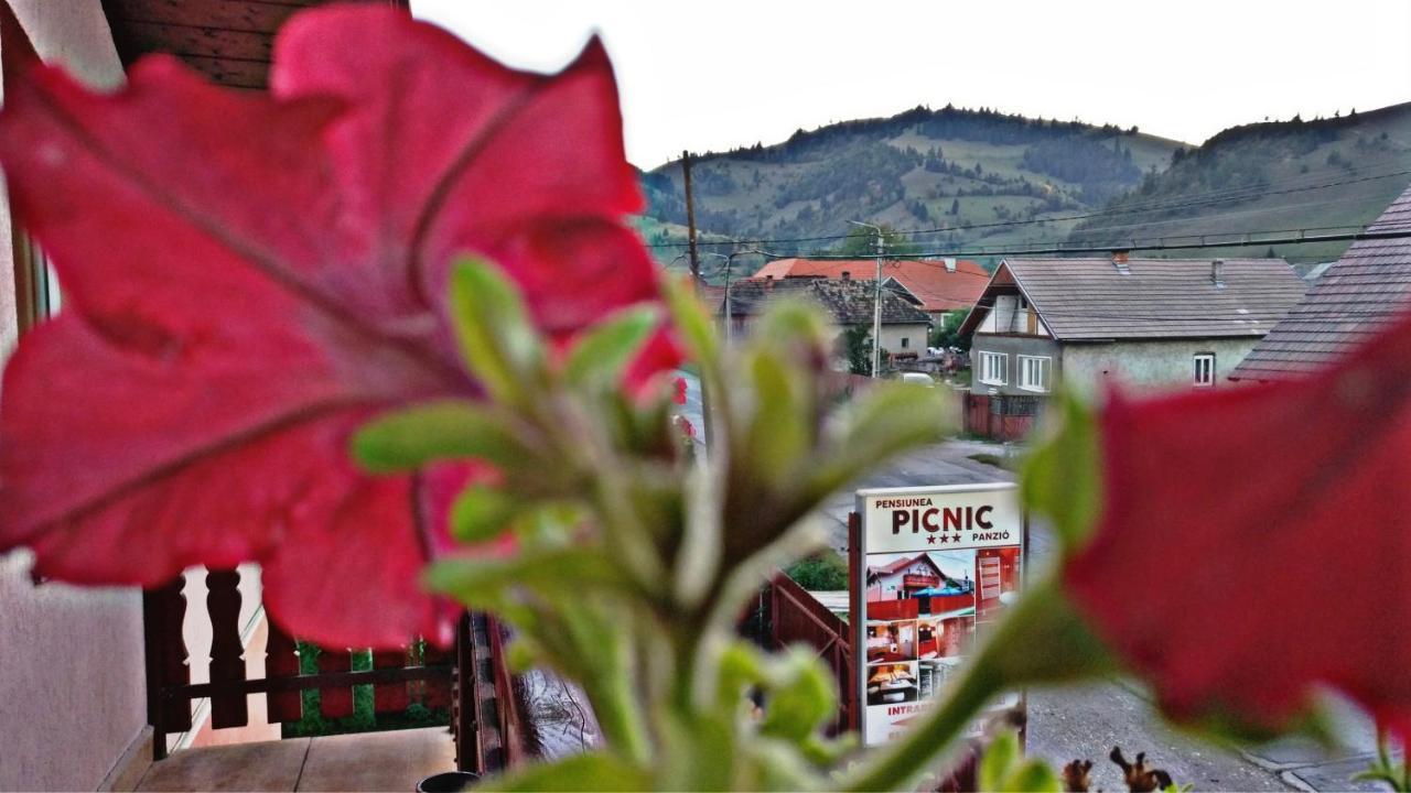 Picnic Panzio Bed and Breakfast Lunca de Sus Eksteriør billede